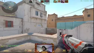 formigao insane shot