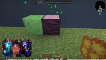 02/11/2025 20:07:20