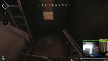 hammer kill