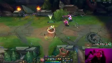 Fizz ga pusi