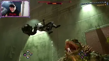 Peleota contra el lagarto !!! 