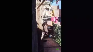 está loca la comadreja