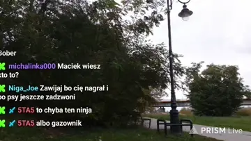 gosc w krzakach 
