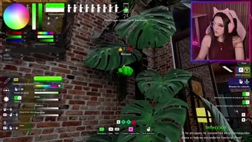 KICK BOUNTIE WIN