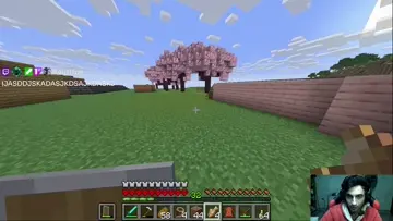 xd