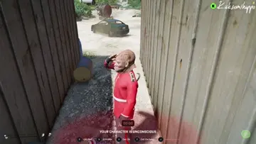 AMERICAAAA