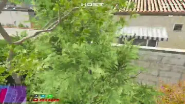 chapoletado