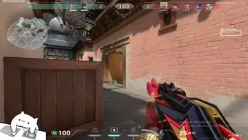 ACE DE PANA
