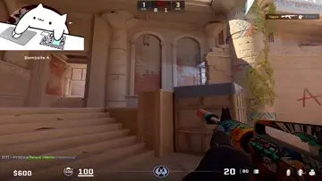 bu nasıl ninja aq