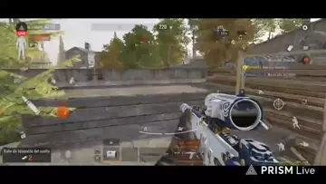 clips1