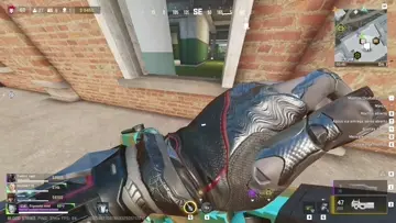 clips