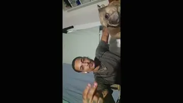 Noli loves his french bulldog bella 