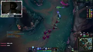 nice flash