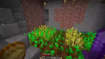 sa