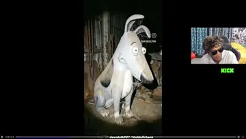 crazy tracy