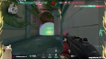 kick bounties