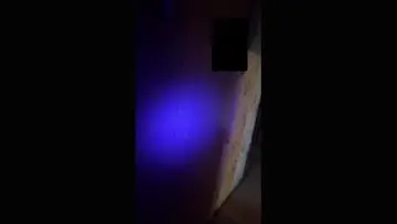 rem pod #2