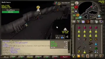 xd