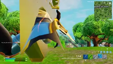 Xd