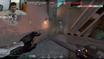 kill 21 shorty