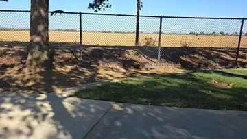 Pressed by a Squirrel