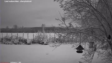 Snow & Magpie ❄️ 6 Dec