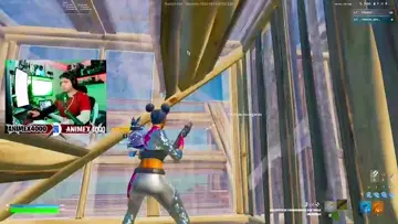 peleas insanas
