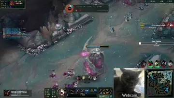 aleexkat vs adelinmm