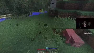 japidi
