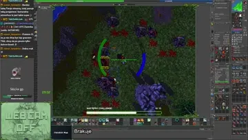 WSB Merito | InStreamly