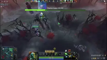 xd