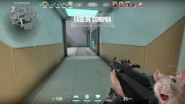 XDDDDDDDDDDDDDDDDDDDDDDDDDDD