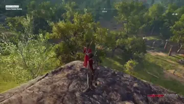short sceen