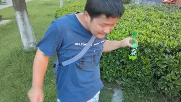 TEMU mountain dew