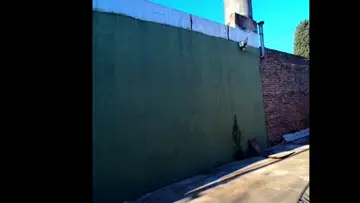 jugando con el campeón