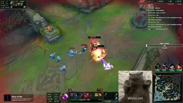 zdreanta mica yap yap