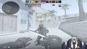 WTF