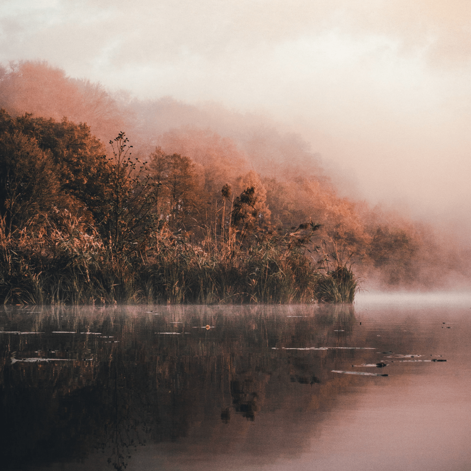 The Energy of Endings #313