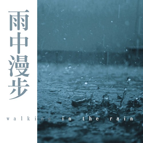 棕叶下的雨 关注声谷 众公号了解自然录音