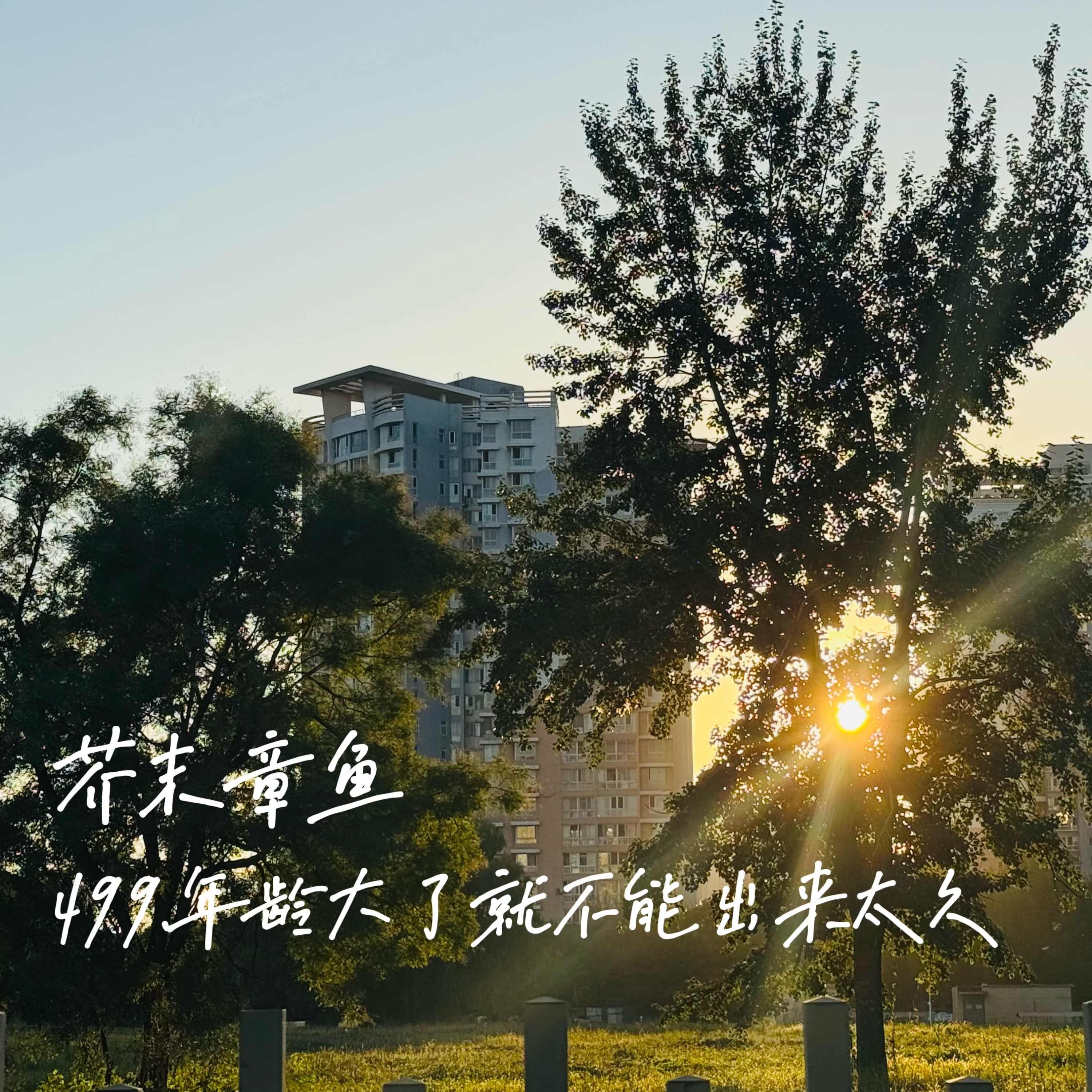 499.年纪大了就不能出来太久