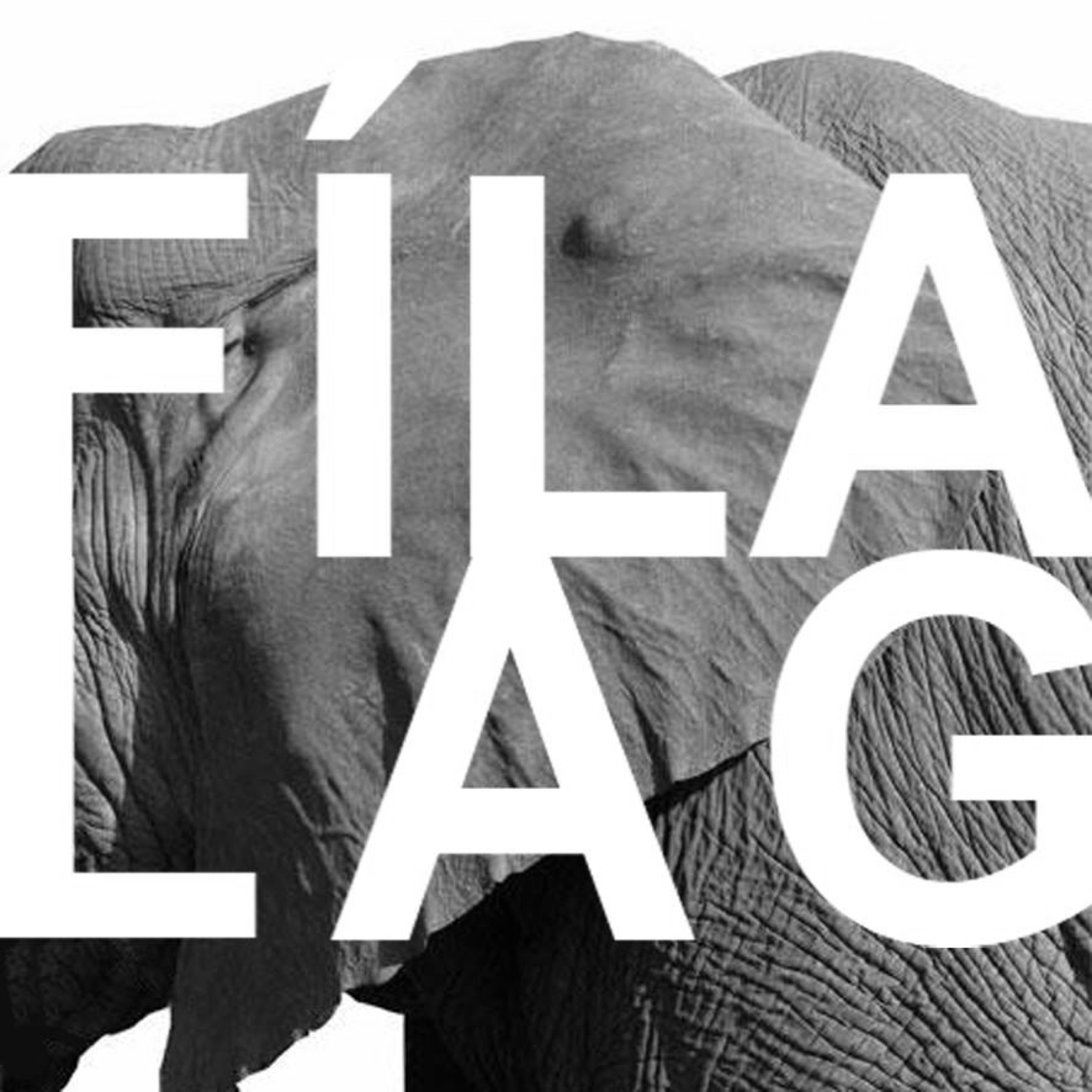 FÃ­lalag