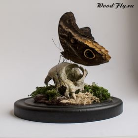 WoodFlyShop