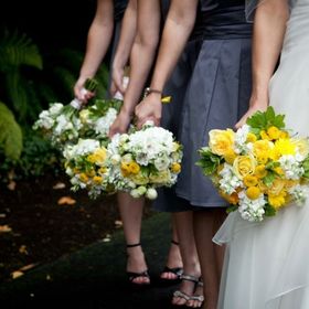 Mayfly Flowers