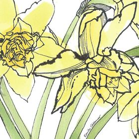 Emily Gillmor