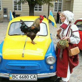 💛Галинка💙 🇺🇦