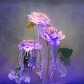 George Harrington | Fine Art Photography