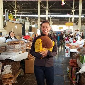 A Nomad on the Loose (Travel Blogger)