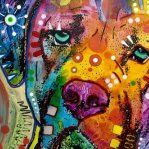 Sherry Kurz