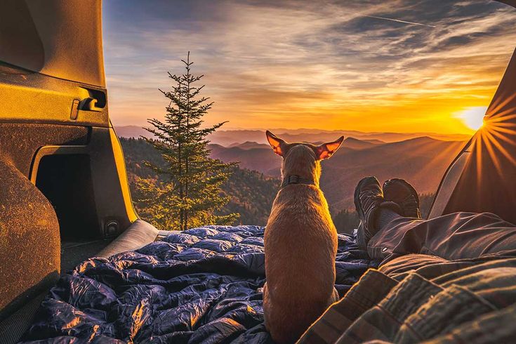 Blue Ridge Outdoors Adventure Photo Contest - Photographer: 