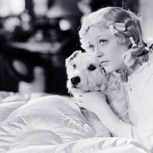 peg o my heart dog - Google Search